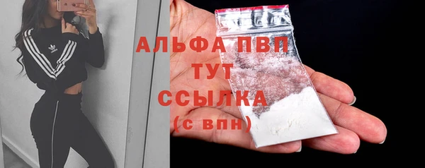 стафф Баксан