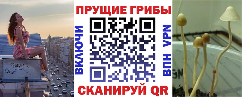 Галлюциногенные грибы мицелий  Усть-Кут 